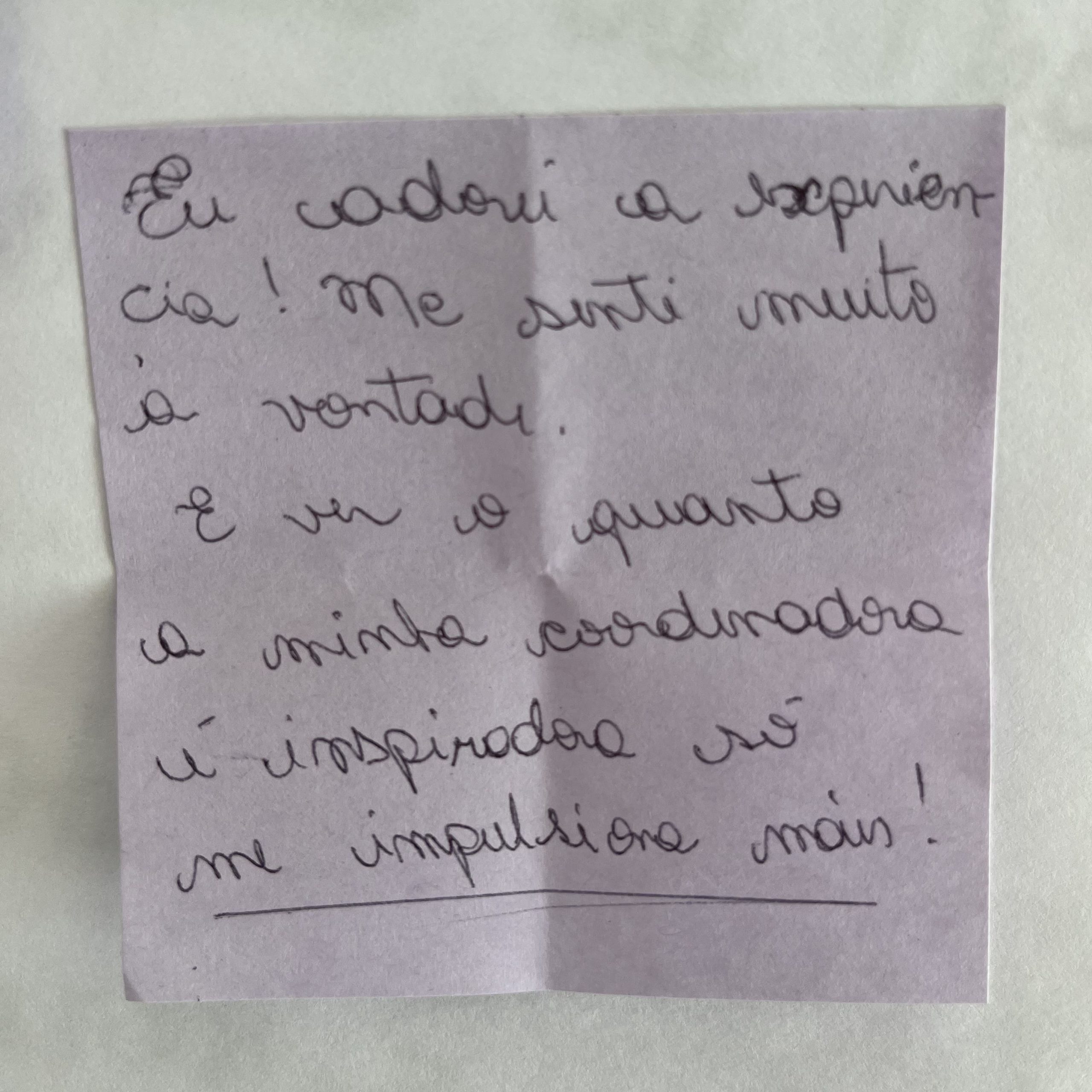 Depoimento de membro da Roda