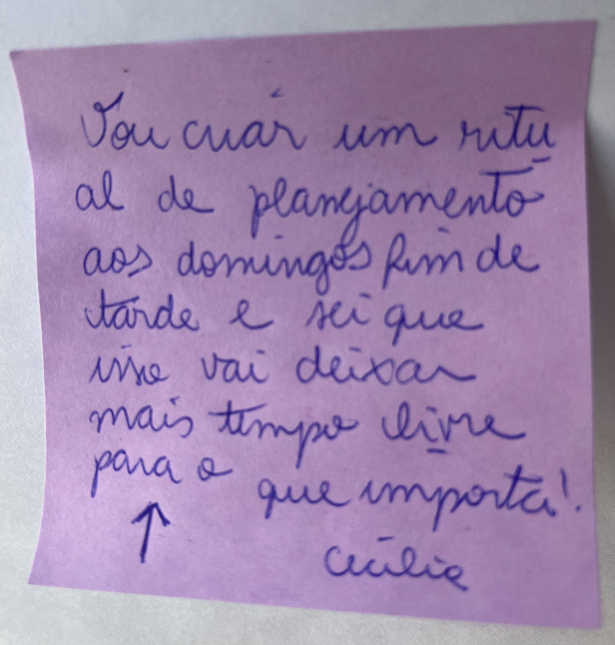 Depoimento de membro da Roda